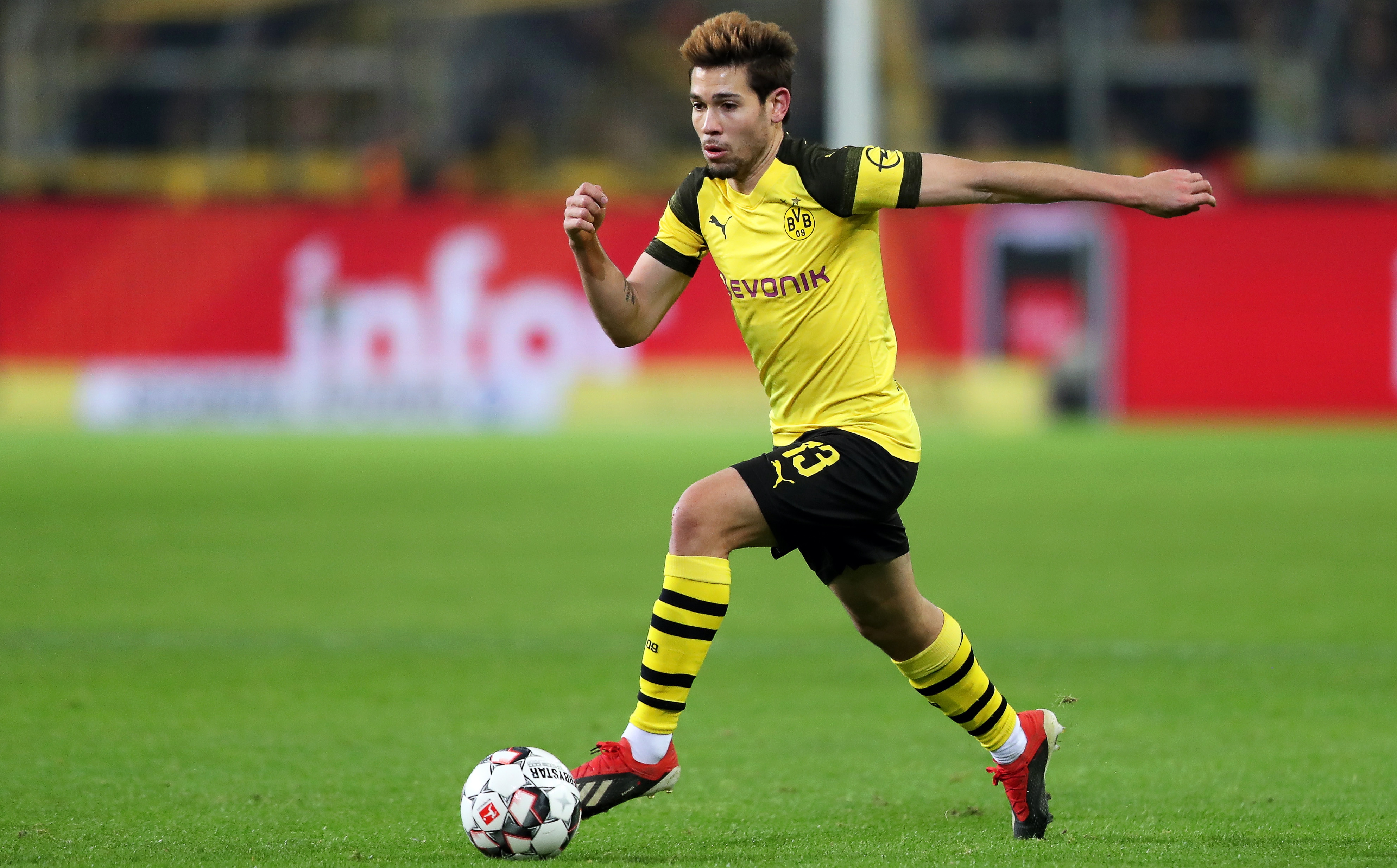 在今年的澳 在今年的澳