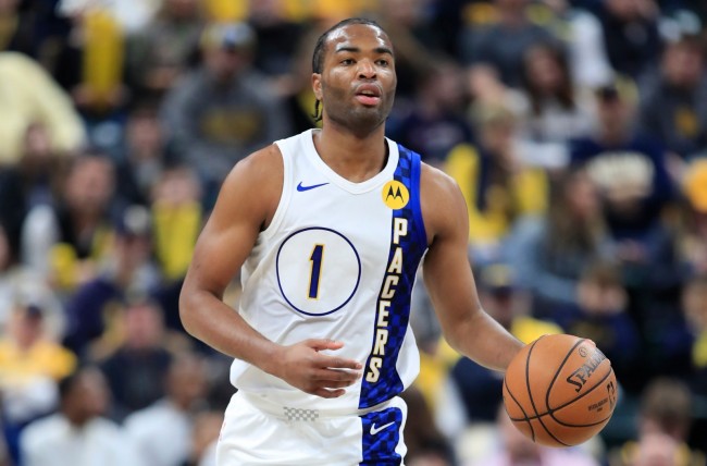 长期培养者 长期培养者